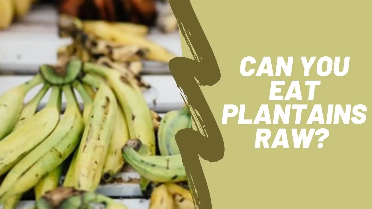 Can you eat plantains raw