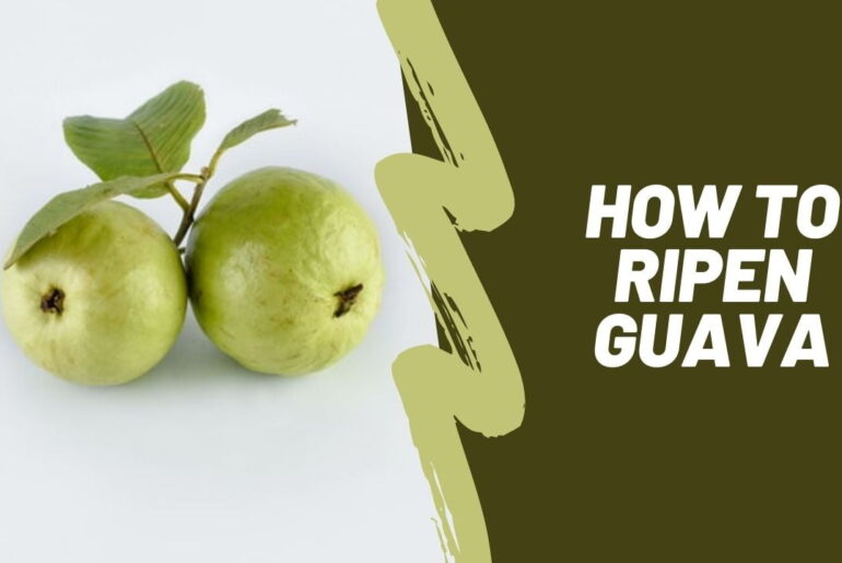 How to ripen guava