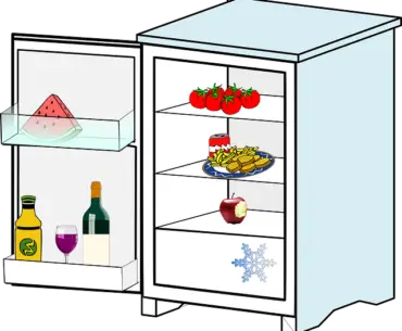 Can you store meat in a mini fridge