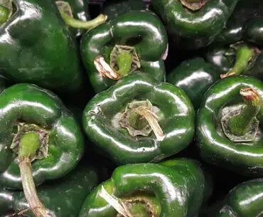 How to freeze poblano pepper