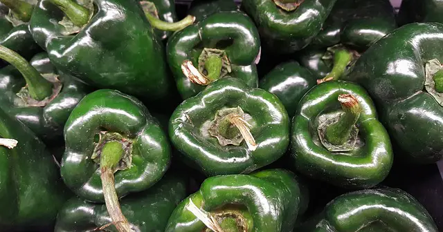 How to freeze poblano pepper
