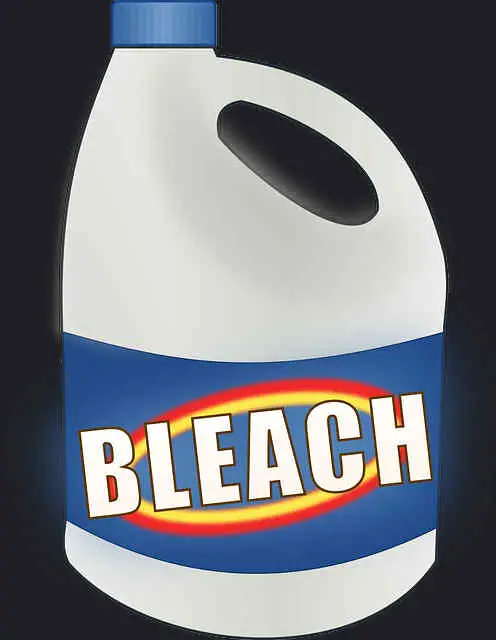 can you put bleach in a dishwasher