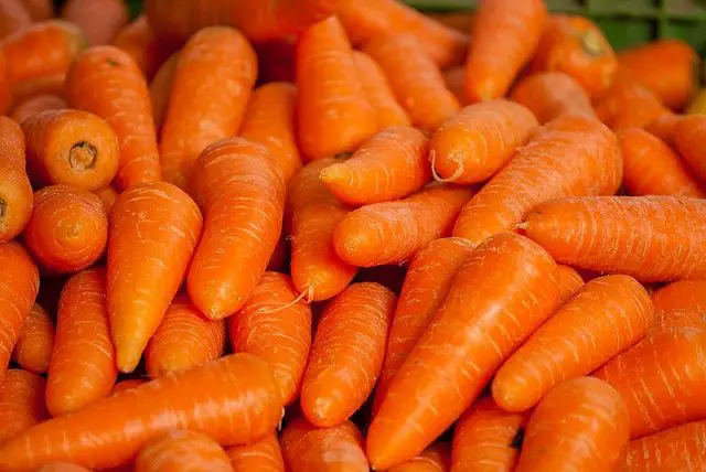 Why are my frozen carrots rubbery? - Emborahome