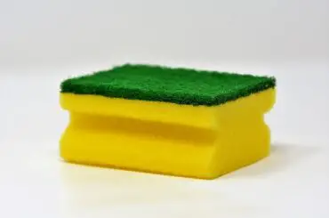 Can you put a sponge in the dishwasher