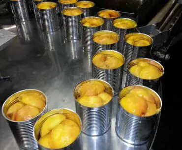 are canned peaches good for you