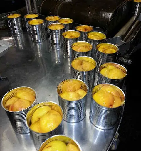are canned peaches good for you