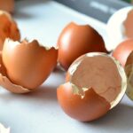 Can you put egg shells in the garbage disposal