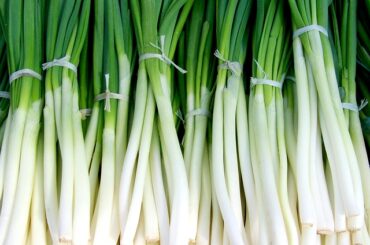 How to store green onions