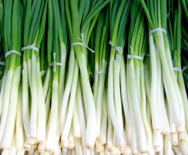 How to store green onions